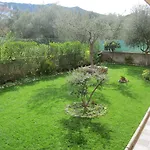 I Fenicotteri
