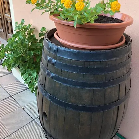 Bed & Breakfast I Fenicotteri *