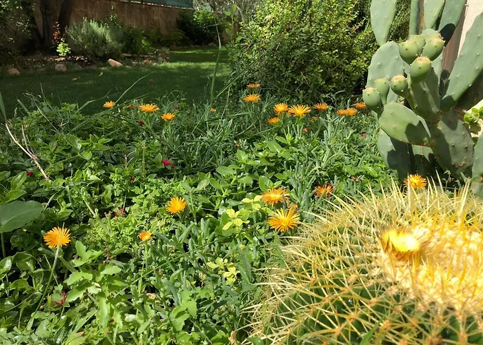 I Fenicotteri Muravera